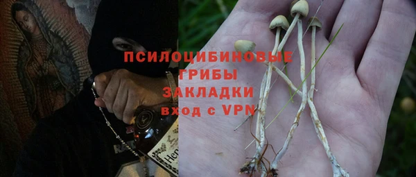 не бодяженный Алзамай