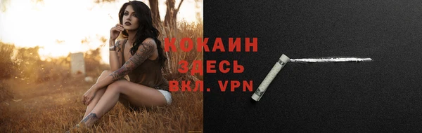 тгк Абаза