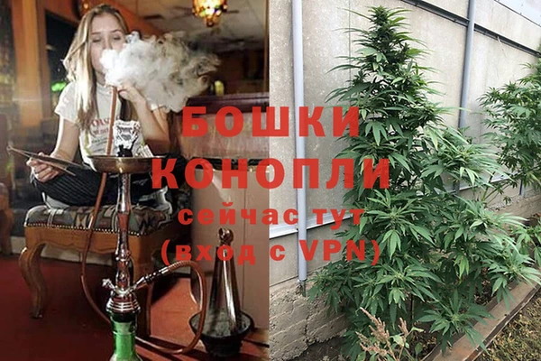 трава Абинск