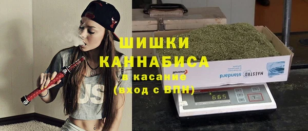 тгк Абаза
