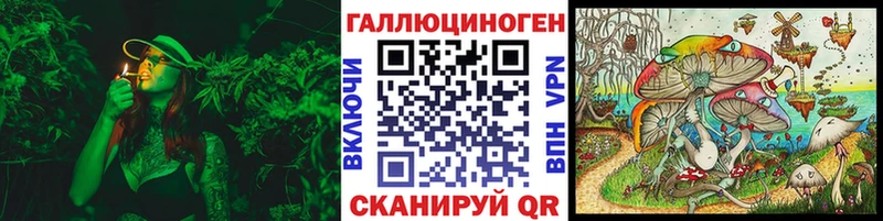 Псилоцибиновые грибы прущие грибы  Знаменск 